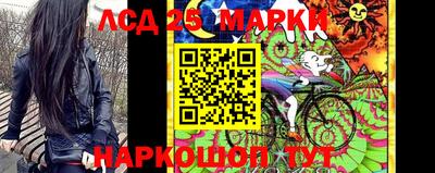 spice Обнинск