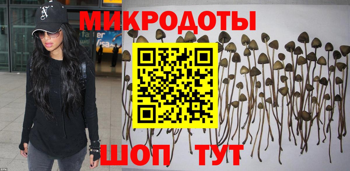 Псилоцибиновые грибы Psilocybine cubensis Сорочинск