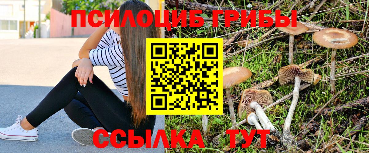 Галлюциногенные грибы Сорочинск