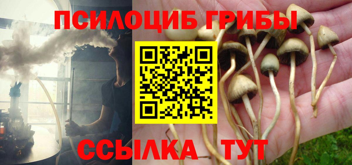 Сорочинск  Псилоцибиновые грибы Psilocybine cubensis  Галлюциногенные грибы мухоморы  Вход с VPN 