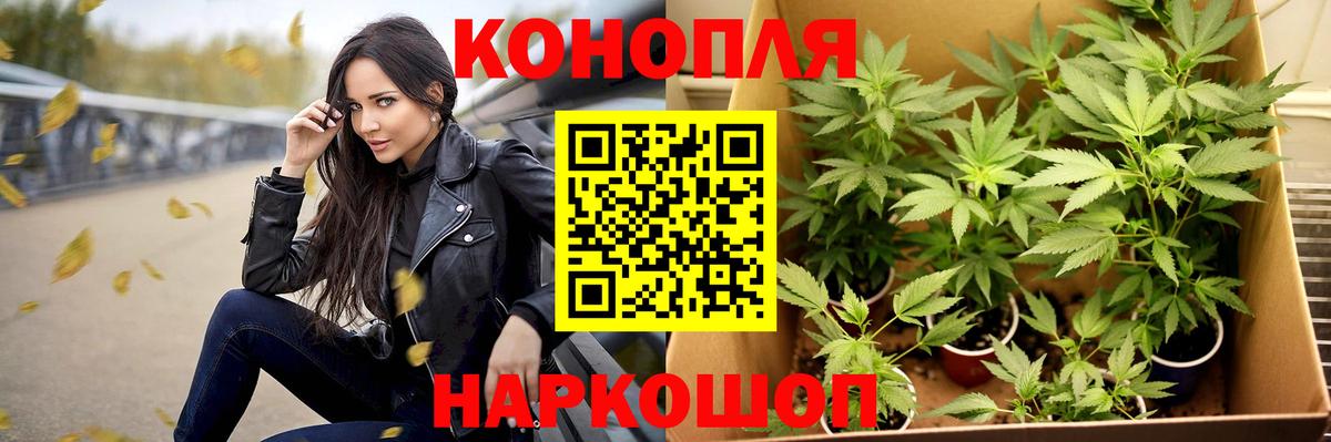 Каннабис марихуана Сорочинск